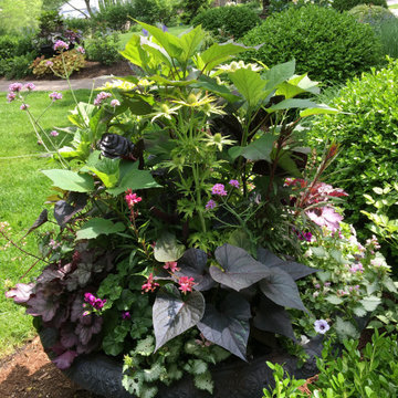 Upscale Landscape Renewal and Remake