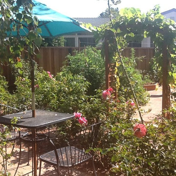 Vegetable Gardening in Mass