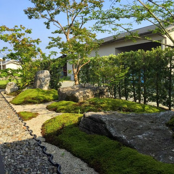 苔庭