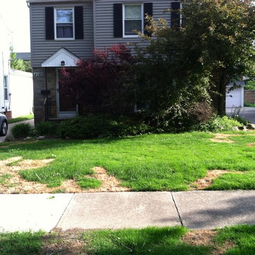 Zaccraya Cisse Spring Cleanup