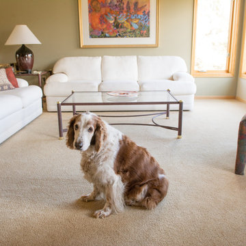 Living Room & Stairs with Plush Carpet