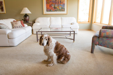 Inspiration for a transitional living room remodel in Minneapolis