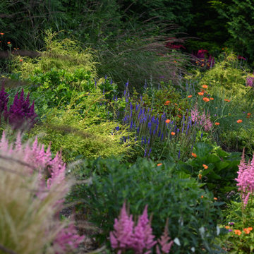 High Line Summer Meadow