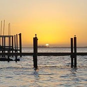 Fran Florentine's photo
