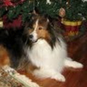 Paula Ingle's photo