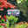 Deluxe Landscaping