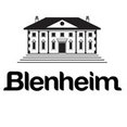 Blenheim Park Developments's profile photo

