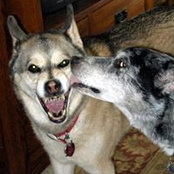 Lisa Carr's photo