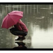 Cheryl Lachance's photo