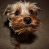 Laura Harkin's photo