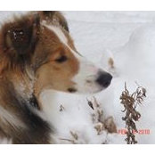 Debbie Gronert's photo