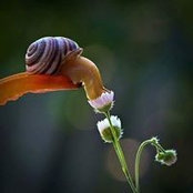 Ash Rosier's photo
