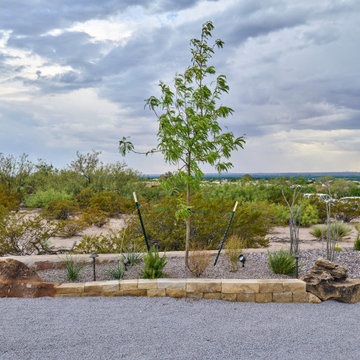 Palm Springs Vibes in New Mexico