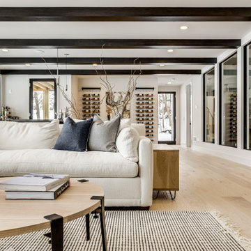 Lake Minnetonka Contemporary Home