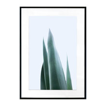 Paintings