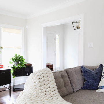 Our Houzz: Bright, Breezy Living Room Caps a Hectic Renovation