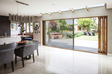 Centor Integrated Doors Walls