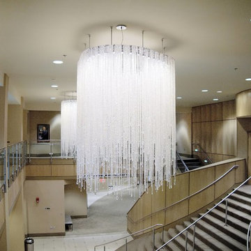 Mark C. Concert Hall Project