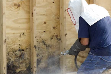 Mold Remediation in Fremont, CA
