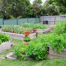 raised vegtable garden