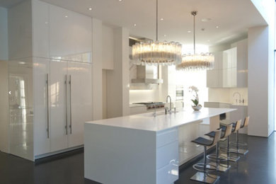 Kitchen - contemporary kitchen idea in New York