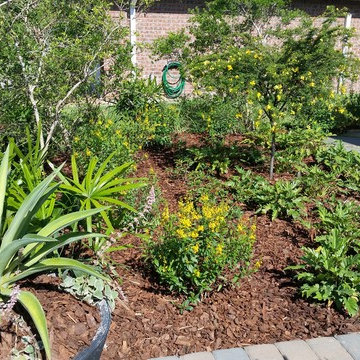 Mediterranean Landscaping