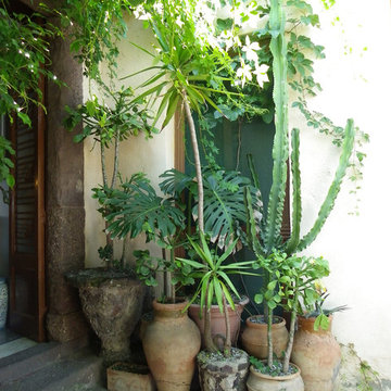 Planters