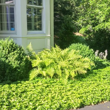 Garden Renovation
