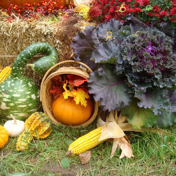 Seasonal Displays