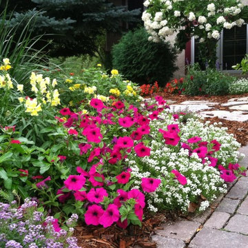 Residentential Gardens -Annual Color
