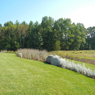 Sweeps of Ornamental grasses transitioning to native landscape