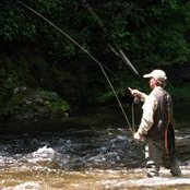 Jerry Gilley's photo