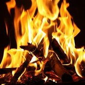 Therese Wilson's photo