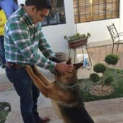 Photo de Rodolfo Tr B