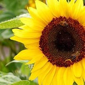 Kathy O'Keefe Binford's photo