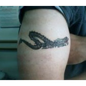 Avner Kaplan's photo