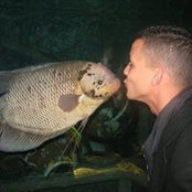 Amine Boukraa's photo