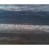 Julie Amaral's photo
