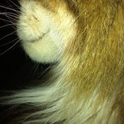 Jordena Kraut's photo