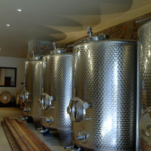 winery / vineyard