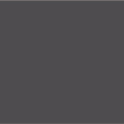 Dulux Wayward Grey - Paint