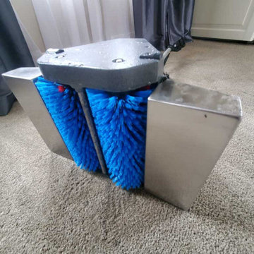 Pet Urine Removal Feces Removal and Treatment in a House Move-out Cleaning Locat