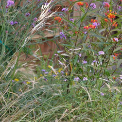 Native grasses, milkweed and verbena - Area Rugs