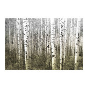 "Aspen Highlands" Fine Art Canvas Print, 24"x16"