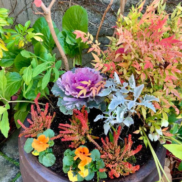 Container gardening