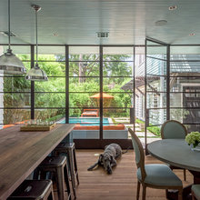 Window Wall