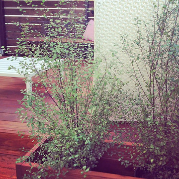 Custom Redwood Deck & Planter Box