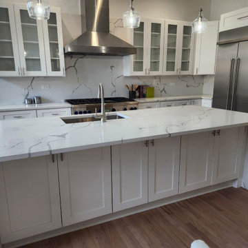 Roscoe Village- Kitchen Remodel