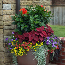 planters