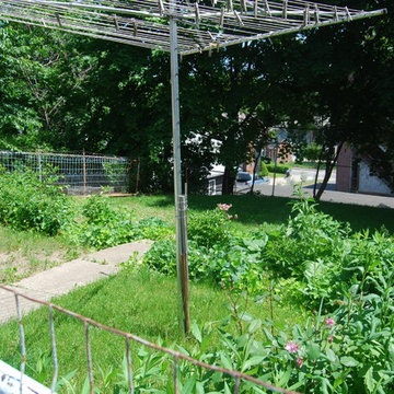 Back Yard 'Before'